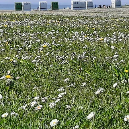 בית נופש Njoerd נורדן